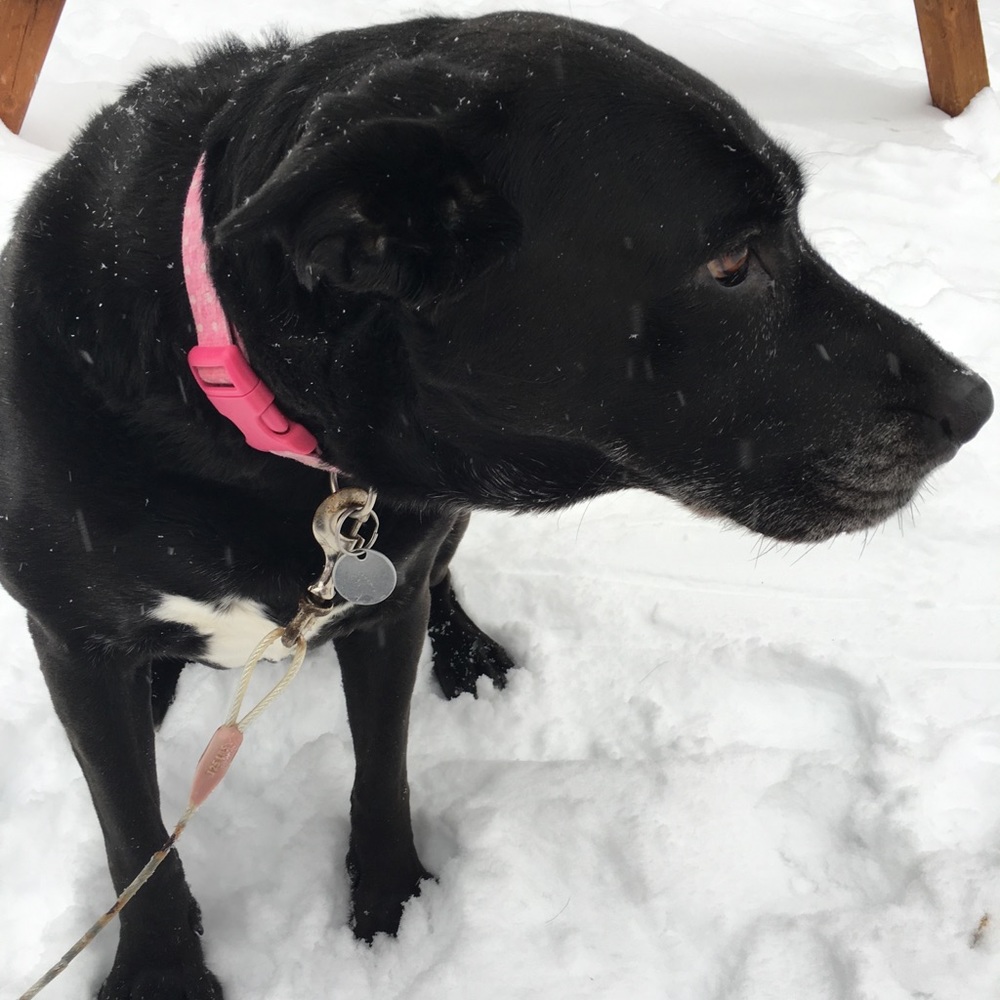 Meet your Posher, Hilary